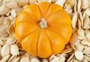 பூசணிக்காய்.. குண்டா இருக்கீங்களா.. அப்ப “இதை” மட்டும் சாப்பிடுங்க.. ஆயுளை நீட்டிக்கும் பூசணி விதைகள் | Health Benefits of Pumpkin and do you know Pumpkin Seed is the Best Medicinal Food for all