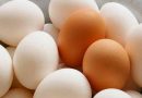 பச்சை முட்டை சாப்பிடறீங்களா.. தினமும் எத்தனை முட்டை சாப்பிடலாம்.. ஒரே கோழி முட்டையில் இத்தனை விஷயமா? | Health Benefits of Eggs do you know Excellent Medicinal Food Egg, Can we eat raw eggs