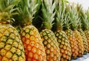 மாம்பழம் அனுப்பிய வங்கதேச பிரதமருக்கு அன்னாசி பழம் பரிசளித்த திரிபுரா முதல்வர் | Tripura CM gifted pineapple to Bangladesh PM who sent mangoes