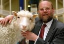 ‘டோலி’ குளோனிங் ஆட்டை உருவாக்கிய குழுவை வழிநடத்திய பிரிட்டிஷ் விஞ்ஞானி காலமானார் | British scientist who led team that developed cloned sheep Dolly has died